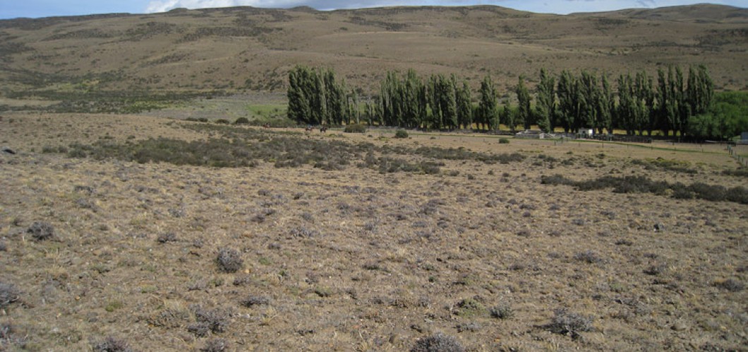 Patagonie (14)